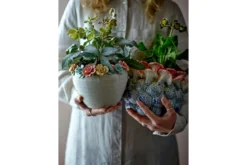 Blumentopf „Myra“ – Buntes Steingut