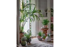 Blumentopf „Myra“ – Buntes Steingut