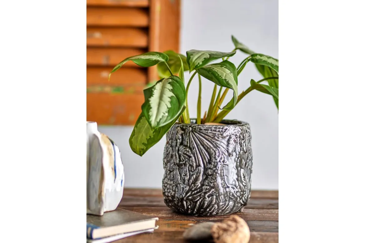Blumentopf Nikki – botanisches Muster