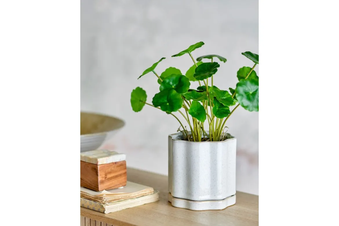 Blumentopf „Velora“ mit Unterteller – Graues Steingut