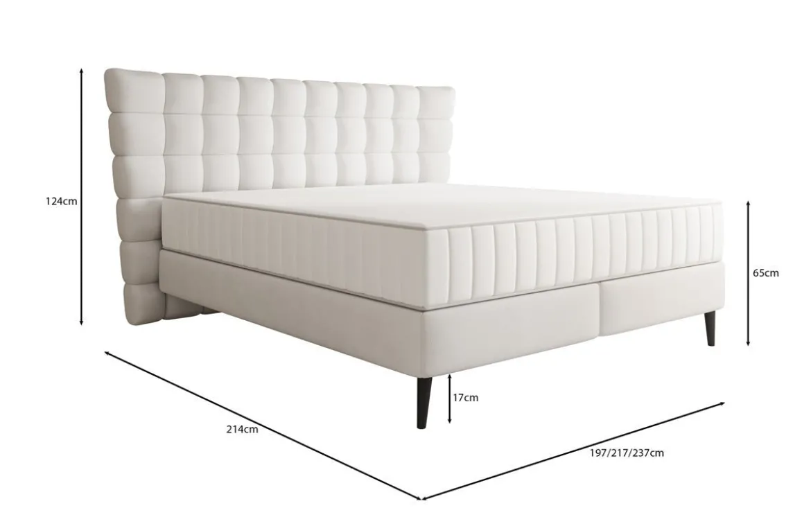 Boxspringbett Alvion in Echtleder