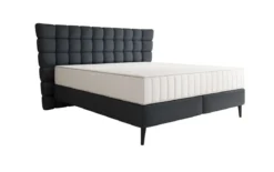 Boxspringbett Alvion in Echtleder
