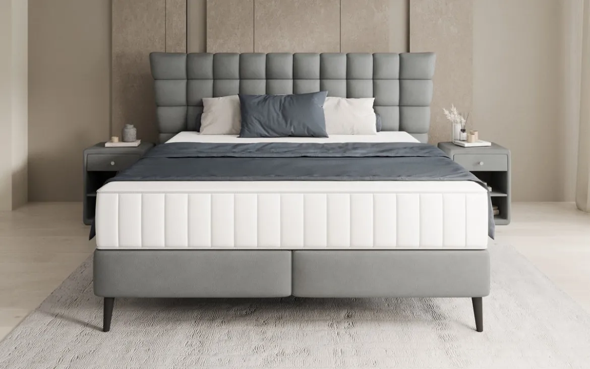 Boxspringbett Alvion in Echtleder