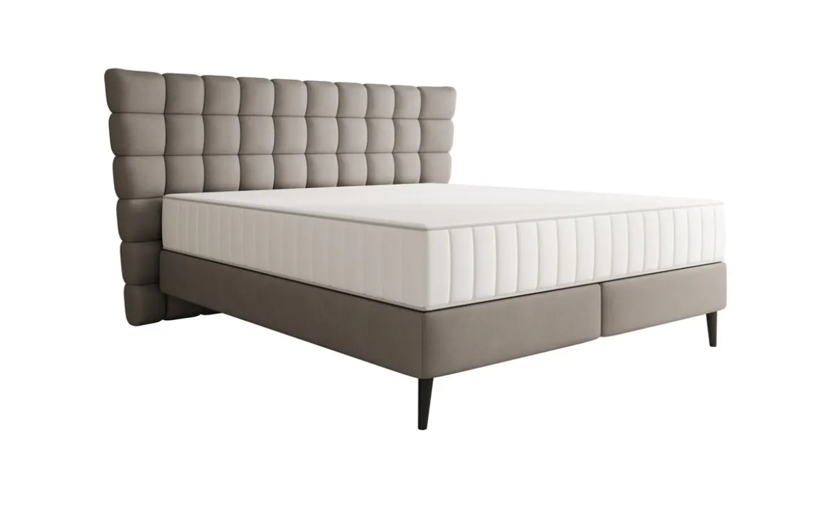 Boxspringbett Alvion in Echtleder