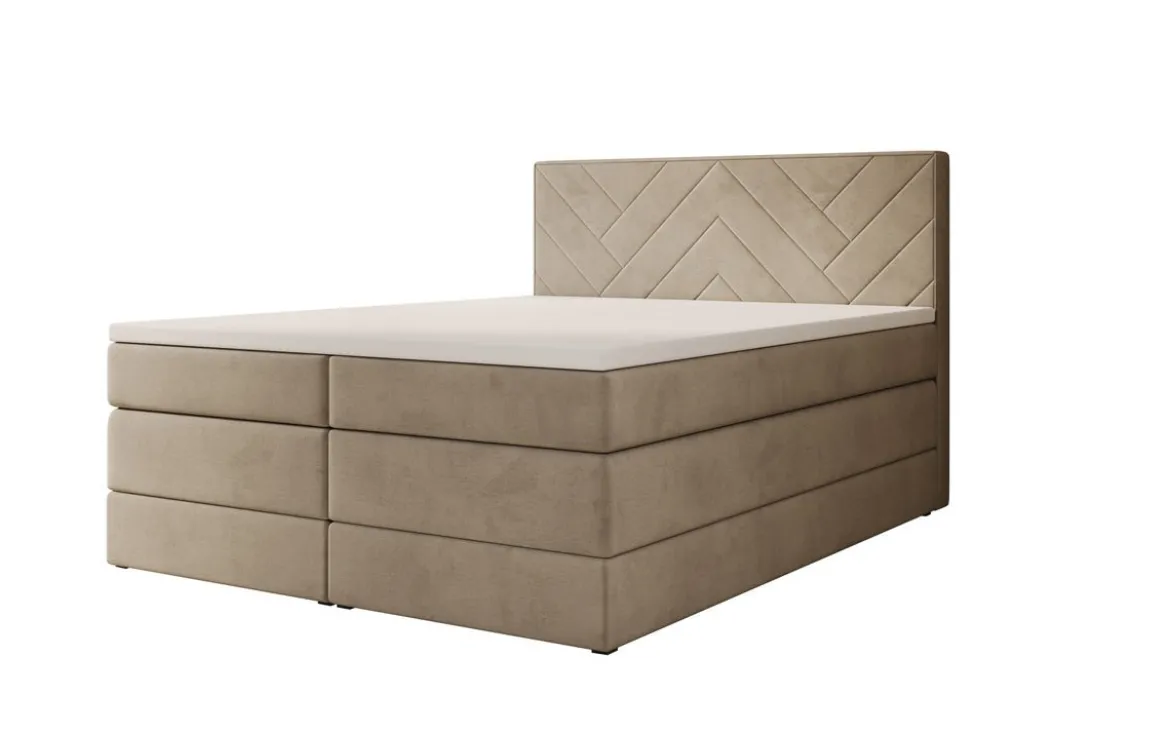 Boxspringbett Norella mit Stauraum in Samt