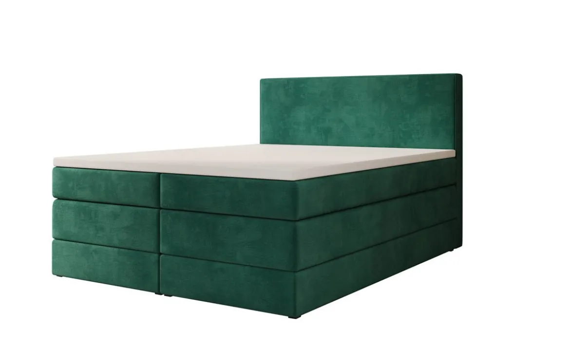 Boxspringbett Noren mit Stauraum in Samt