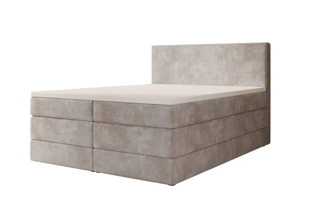 Boxspringbett Noren mit Stauraum in Cord