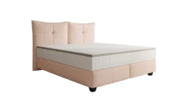 Boxspringbett Veyora in Echtleder