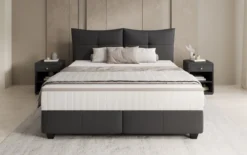 Boxspringbett Veyora in Echtleder