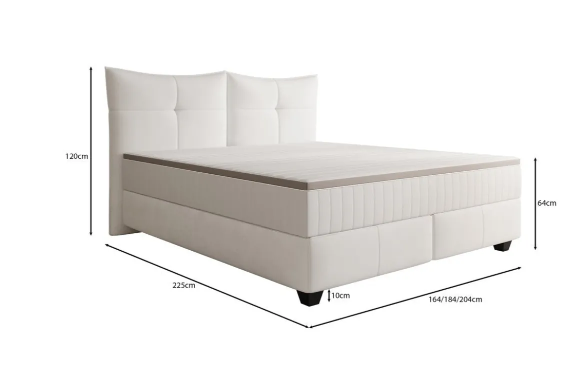 Boxspringbett Veyora in Echtleder