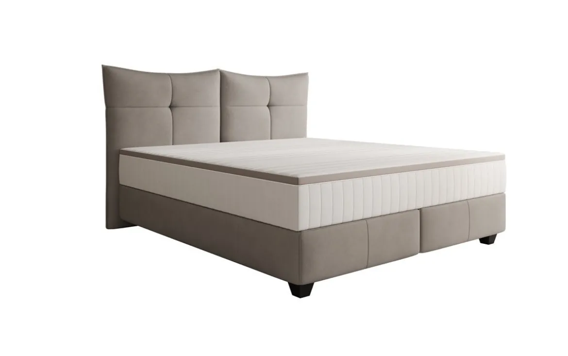 Boxspringbett Veyora in Echtleder