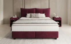 Boxspringbett Veyora in Samt