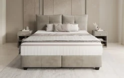 Boxspringbett Veyora in Samt