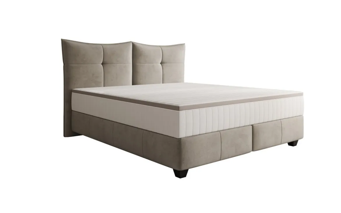 Boxspringbett Veyora in Samt