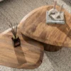 Couchtisch Arenza - 2er Set aus Mangoholz