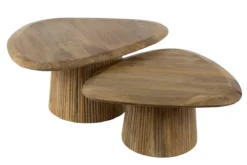 Couchtisch Arenza - 2er Set aus Mangoholz