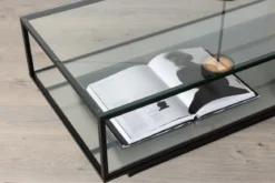 Couchtisch Lanera - mit Glasflächen und Stahlkorpus