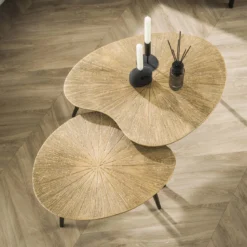 Couchtisch Tavino - 2er Set in Nierenform in der Farbe Antikbronze