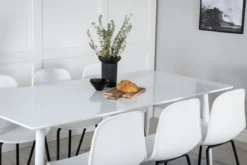 Esstisch Lym - klares, helles Design
