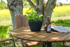 Garten Essgruppe Nativa – 5-teiliges Gartenmöbel-Set in 3 Farben verfügbar