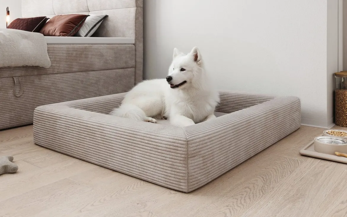 Hundebett Cordino 100 × 120 cm in Cord