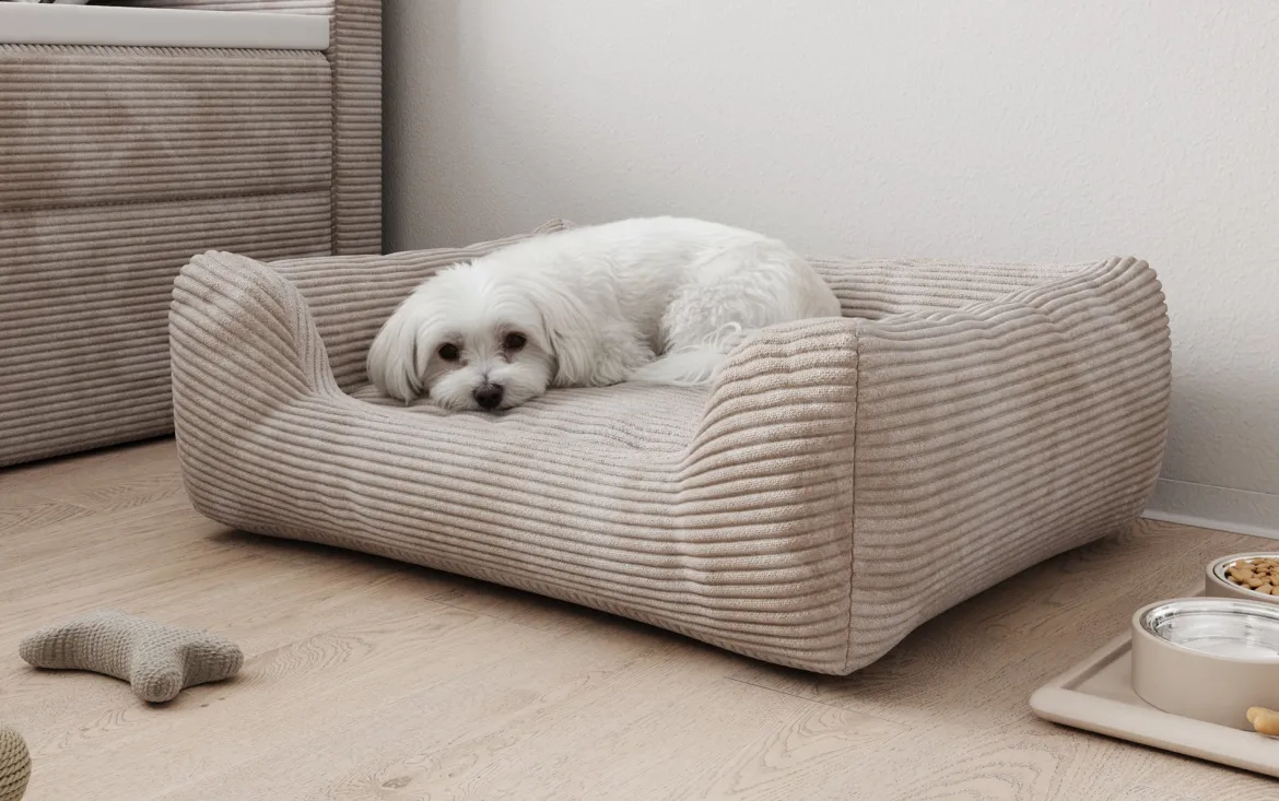 Hundebett Cosmo 60 × 80 cm in Cord