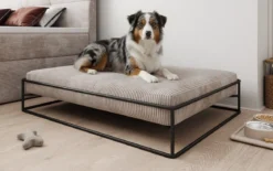 Hundebett Lumo 110x80 cm in Cord