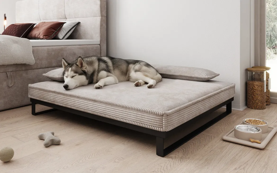 Hundebett Milo – 100x120 cm mit Cordbezug & Metallrahmen