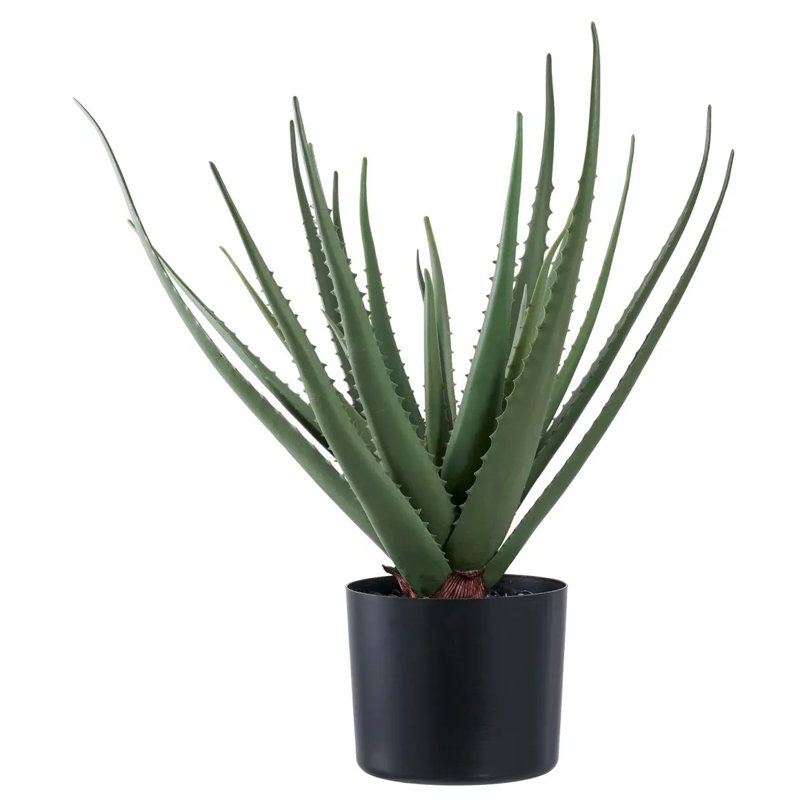 Kunstpflanze Aloe Vera – 51 cm pflegeleichter Klassiker im modernen Look