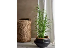 Kunstpflanze Botanic Grass - Höhe 92 cm moderner Gras-Look für ruhige, helle Räume