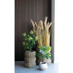 Kunstpflanze Feigenbaum – 60 cm mediterraner Charme für dein Zuhause