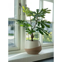 Kunstpflanze Feigenbaum – 60 cm mediterraner Charme für dein Zuhause