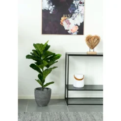 Kunstpflanze Fiddle Leaf Tree – 100 cm eleganter Hingucker mit großen Blättern
