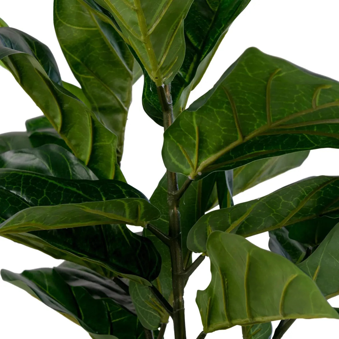 Kunstpflanze Fiddle Leaf Tree – 100 cm eleganter Hingucker mit großen Blättern