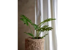 Kunstpflanze Green Aria - Höhe 84 cm