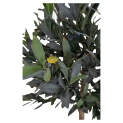 Kunstpflanze Olivenbaum – 120 cm mediterrane Eleganz für innen & außen