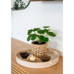 Kunstpflanze Pelia – 28 cm dekorative Frische im Miniformat
