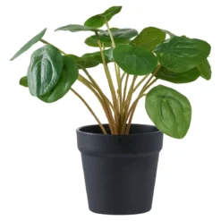 Kunstpflanze Pelia – 28 cm dekorative Frische im Miniformat