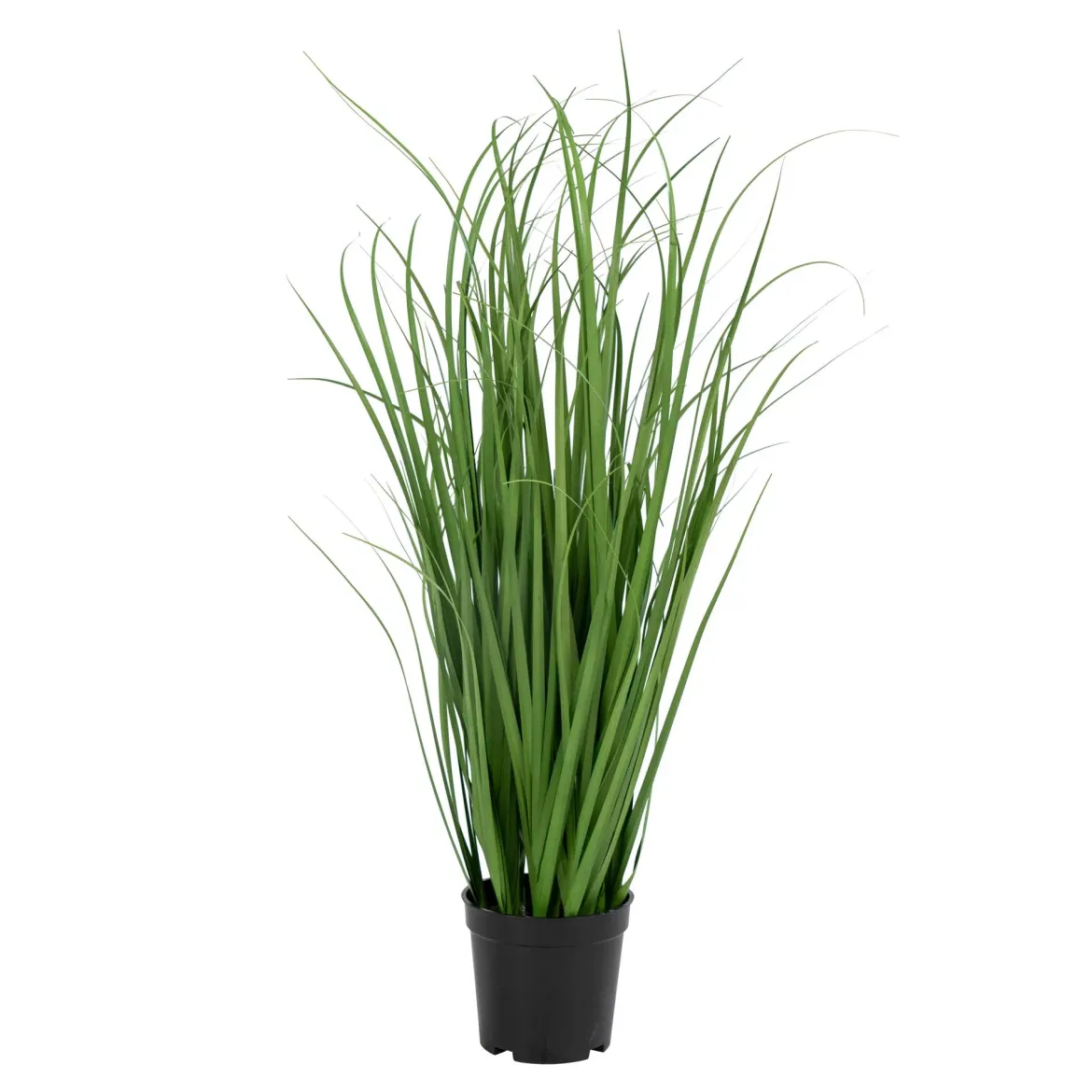 Kunstpflanze Poa Gras – 68 cm luftiger Look für moderne Räume