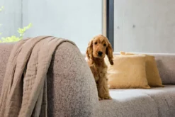 Modulares Sofa Gio zum selber konfigurieren