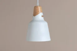 Pendelleuchte „Elegance