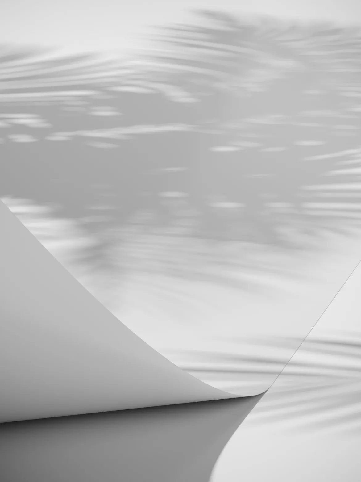 Poster Linea aus hochwertigem Papier
