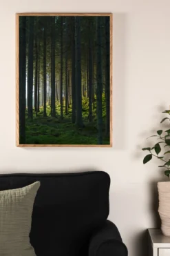 Poster Schwarzwald aus hochwertigem Papier