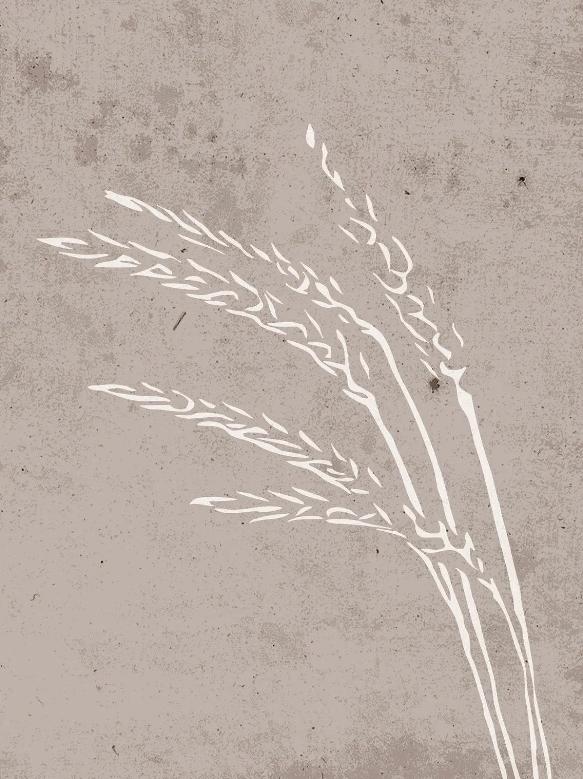 Poster Sprout aus hochwertigem Papier