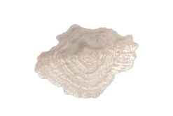 Schale Akuri – aus Glas in Natur mit organischer Form