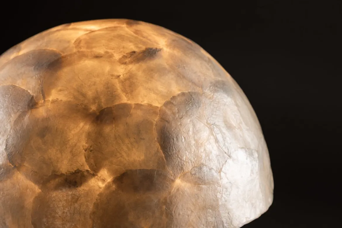 Tischlampe „Aurora“ – Elegantes Design aus Capiz mit sanftem Lichtschein