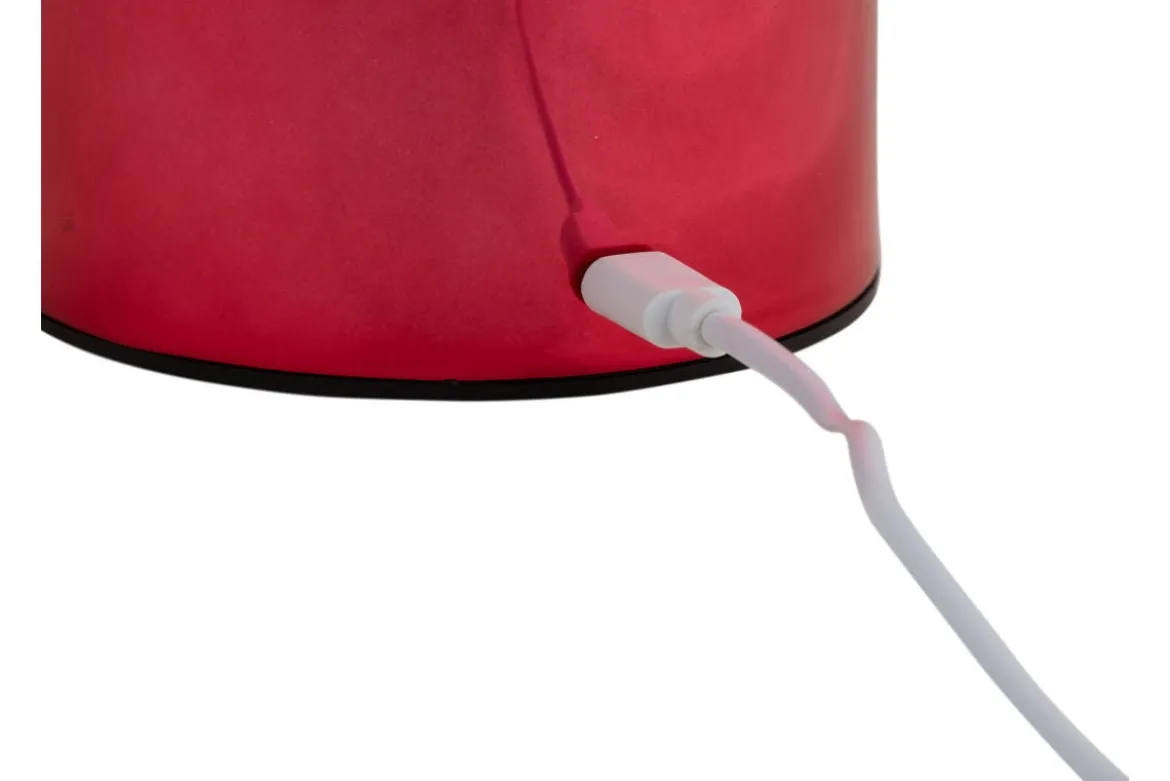 Tischlampe Skogna - Designlampe aus Eisen mit LED
