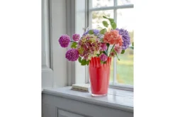 Vase „Olina“ – Oranges Glas