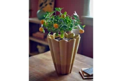 Vase „Yellow Brülé“ – aus Steingut