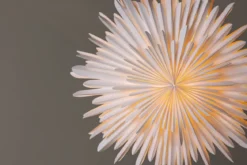 Weihnachtliche Deckenleuchte Lyra - ⌀ 60 cm in 5 Farben